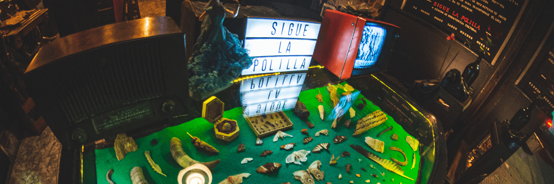 Banner Desktop 1